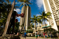 Estàtua de Kabanamoku Duc, El pare de surf de l'Esport Que popularitzar el real. Platja de Waikiki Beach. Oahu.